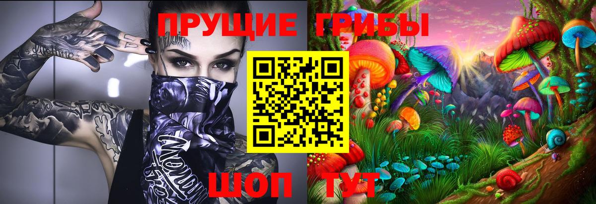 Губкинский  Псилоцибиновые грибы мицелий  Галлюциногенные грибы мухоморы  Вход с VPN 